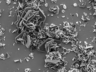 1HD-small-nanoart-sem-raw image 1HD-small-nanoart-sem-raw image