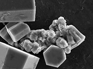 2HD-small-nanoart-sem-raw image 2HD-small-nanoart-sem-raw image